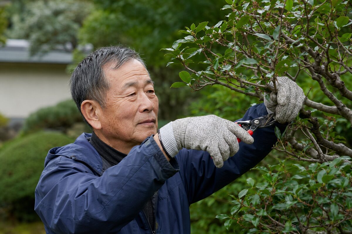 剪定用手袋