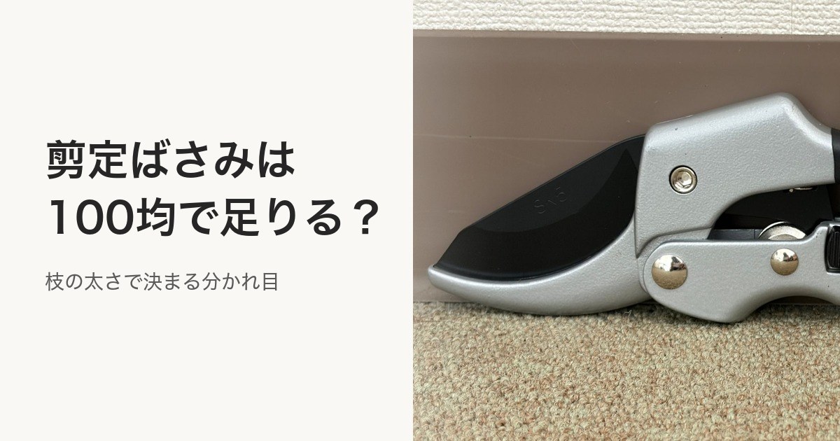 床に置いた、刃を閉じた剪定ばさみ