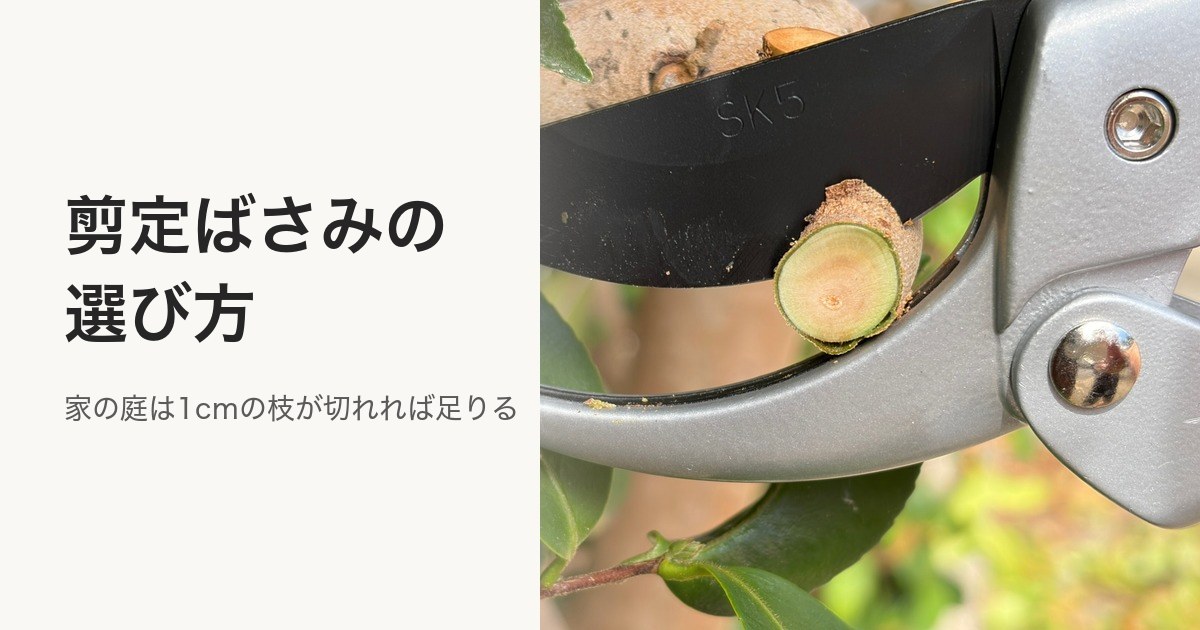 枝を刃の根元で挟んで切った剪定ばさみと切り口