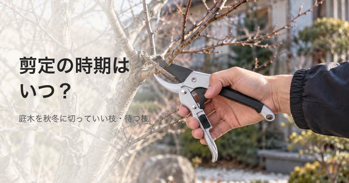 WARAIGAOの剪定ばさみで、冬の葉が落ちた庭木の細い枝を刃の根元に挟み、枝分かれの付け根で切ろうとしているところ